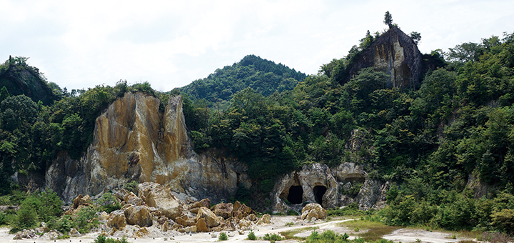 おとなの日々器　藤正