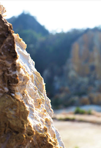 おとなの日々器　藤正