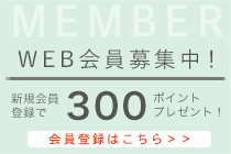 藤正　おとなの日々器